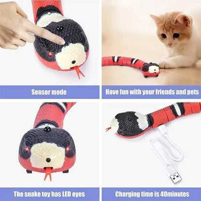 Magic Snake Smart For Cats