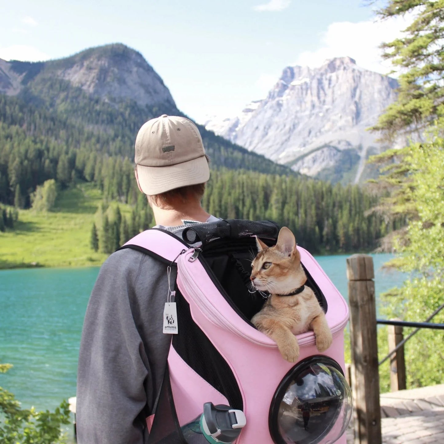 Space Pet Dog Backpack