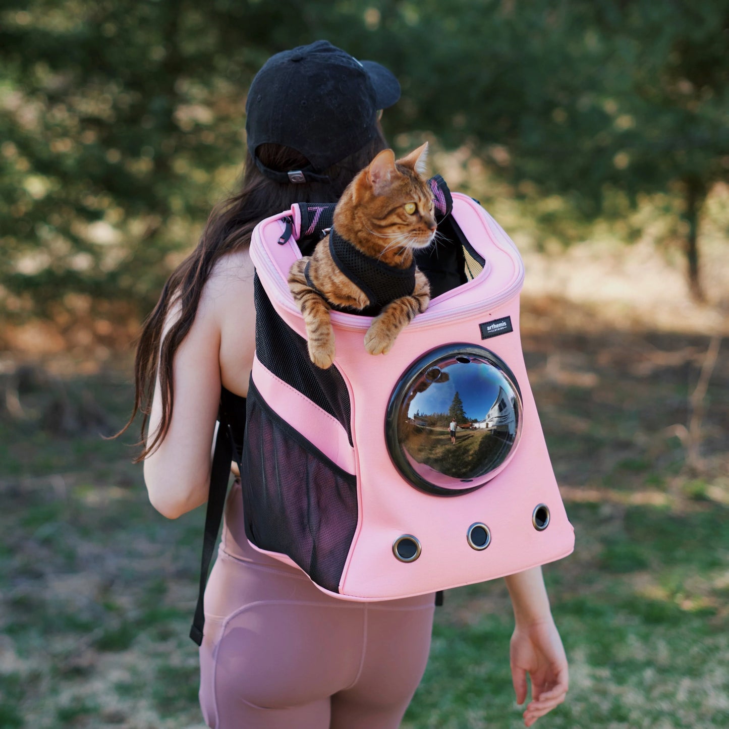 Space Pet Dog Backpack