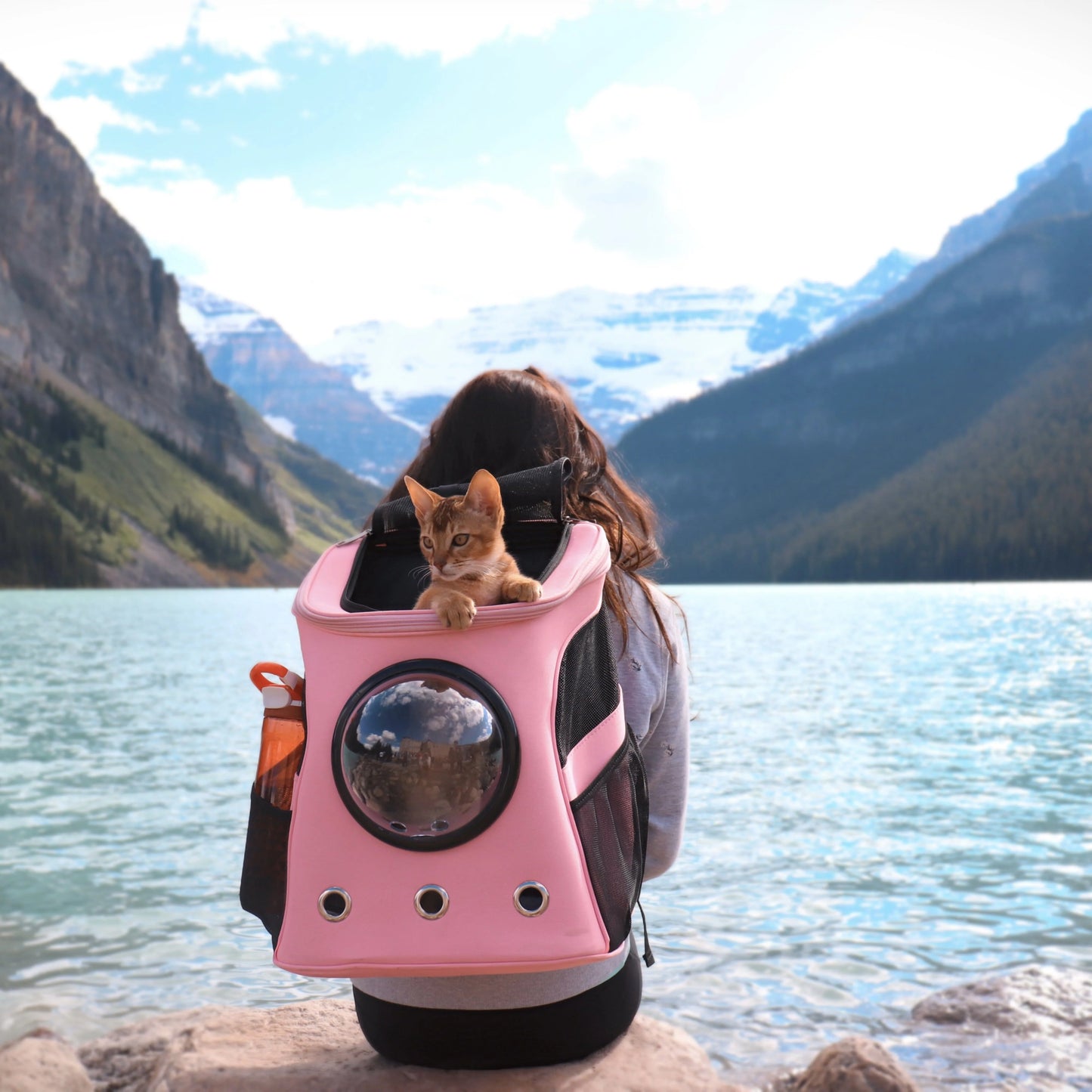 Space Pet Dog Backpack