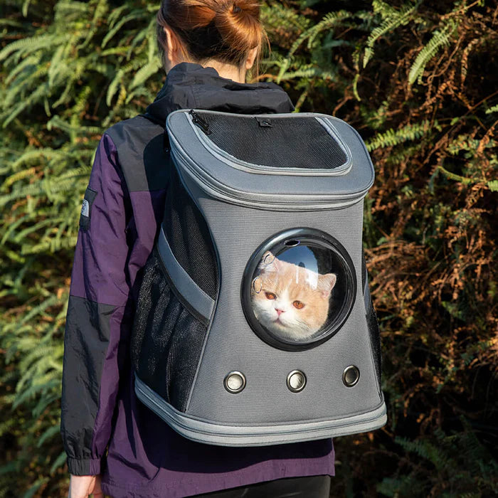 Space Pet Dog Backpack