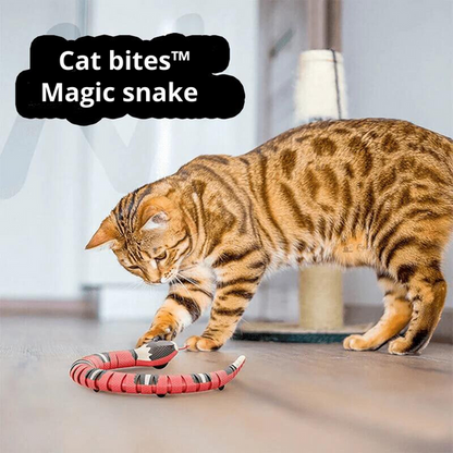 Magic Snake Smart For Cats