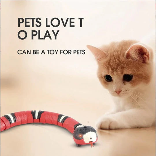 Magic Snake Smart For Cats